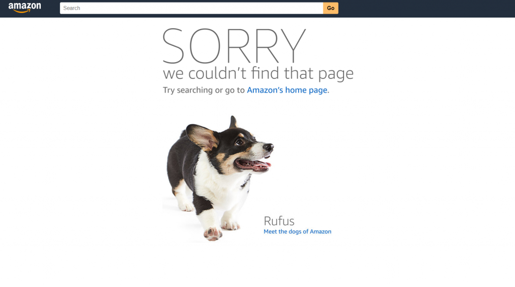 Example of a 404 error page from Amazon