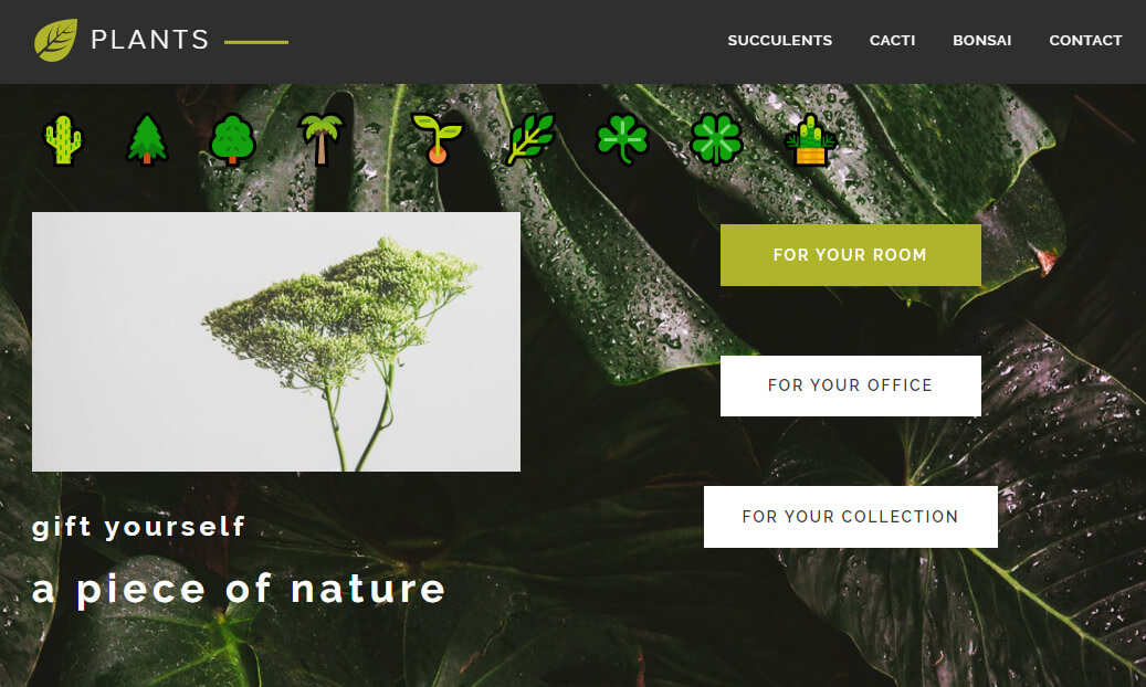 Make your hero section clear and eye-catching