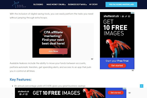 Website Traffic Sources: Display Ads
