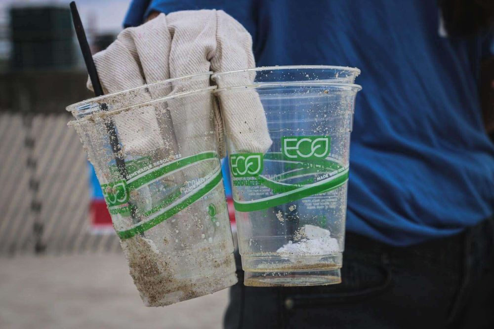 Greenwashing examples